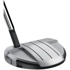 Taylormade Spider GT Rollback Silver Small Slant Putter